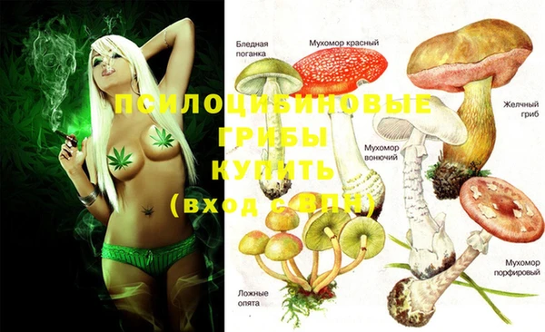 МДПВ Абаза