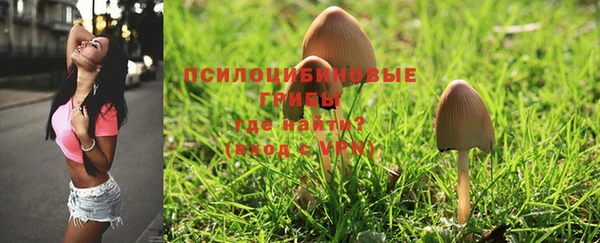 2c-b Абдулино