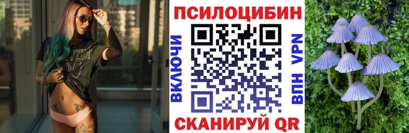 Псилоцибиновые грибы Psilocybe  гидра онион  Лиски 